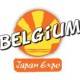 belgorigami_projet_japan_expo_belgium